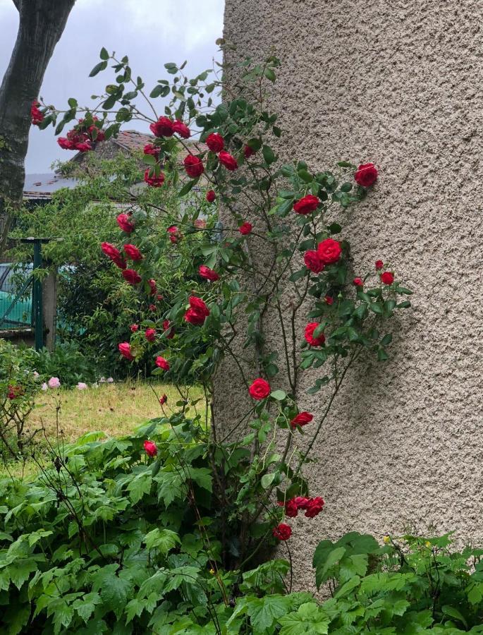 Gite De Pampe Lune & Spa Pampelonne Dış mekan fotoğraf